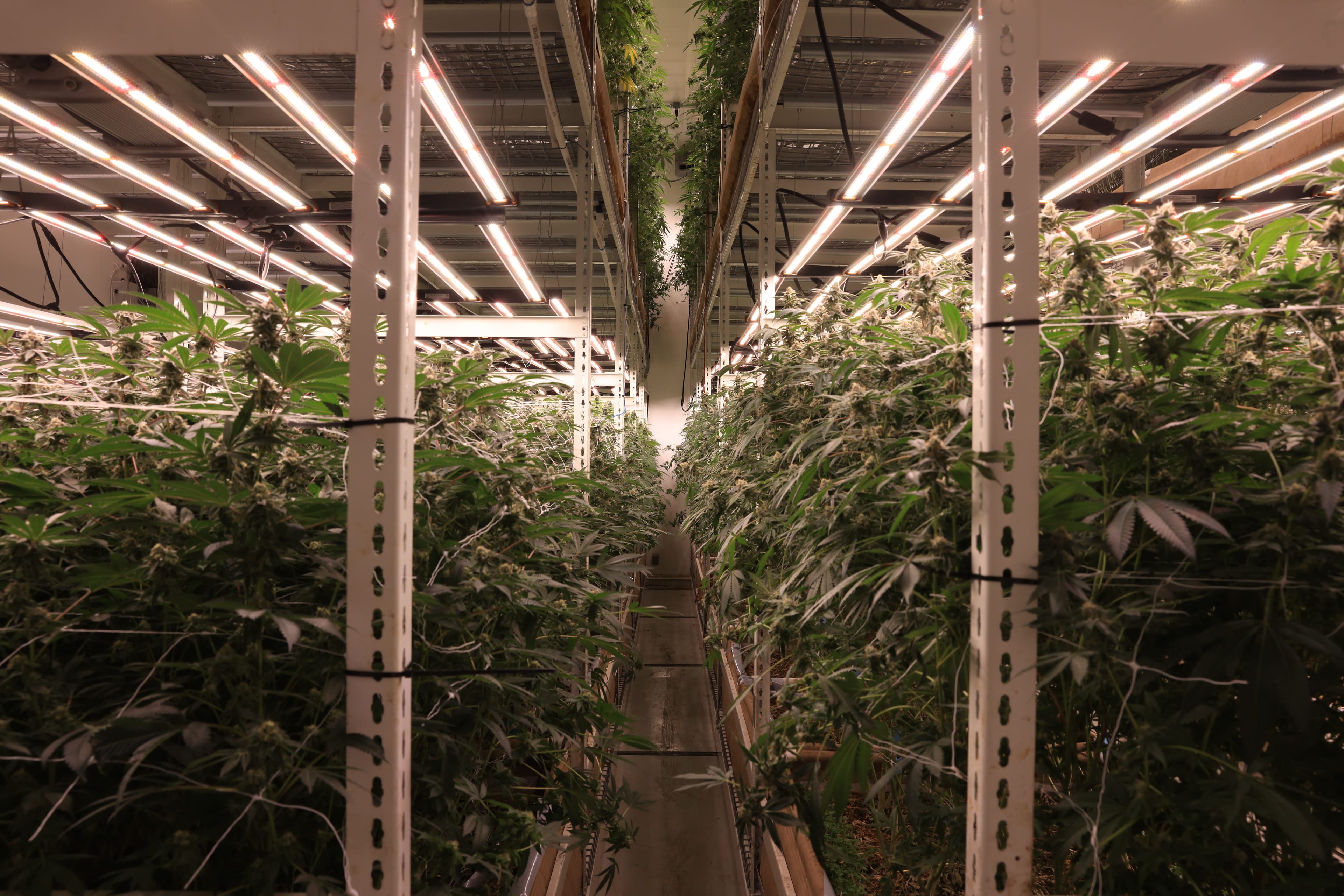 Center aisle, Oakland facility
