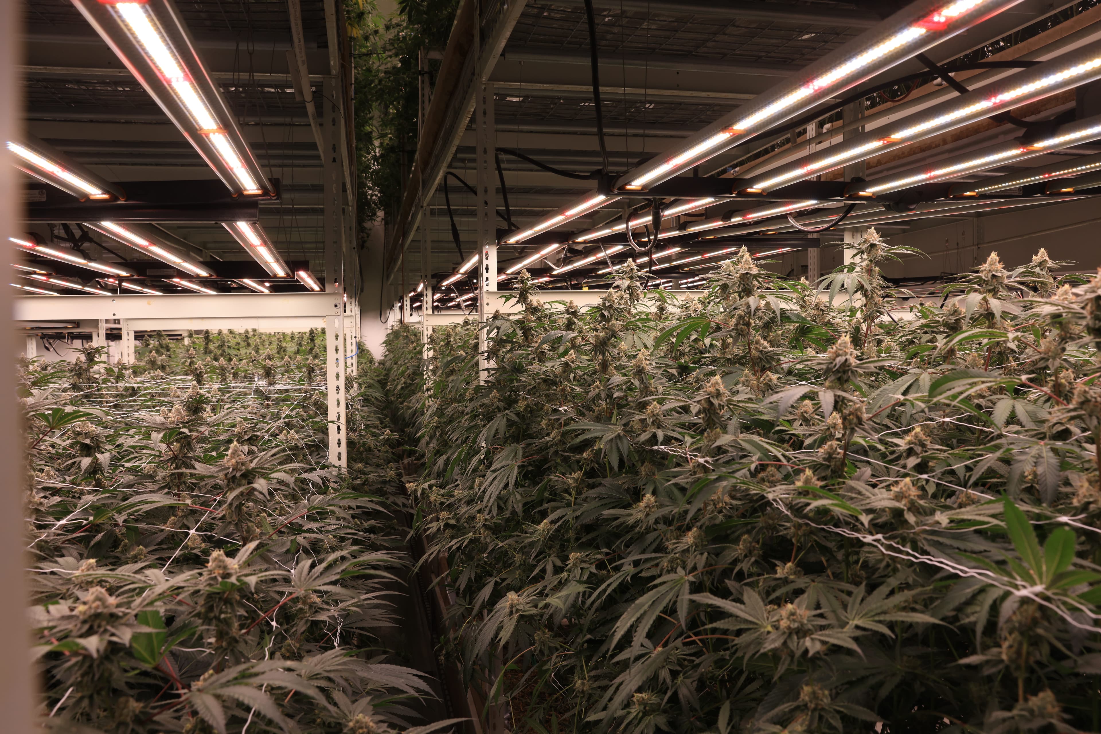 Top of the aisle, Oakland facility