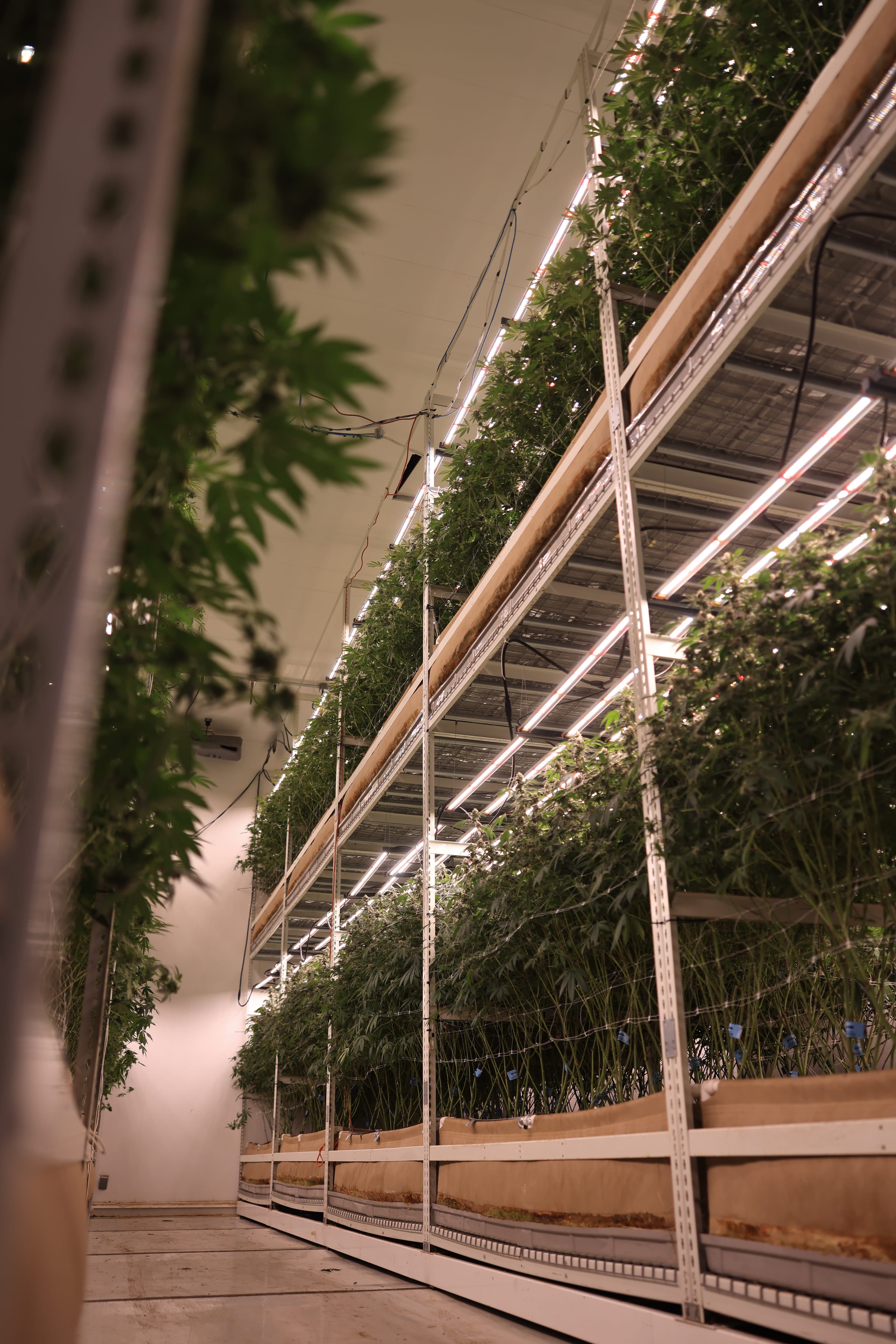 Bottom shelf, Oakland facility