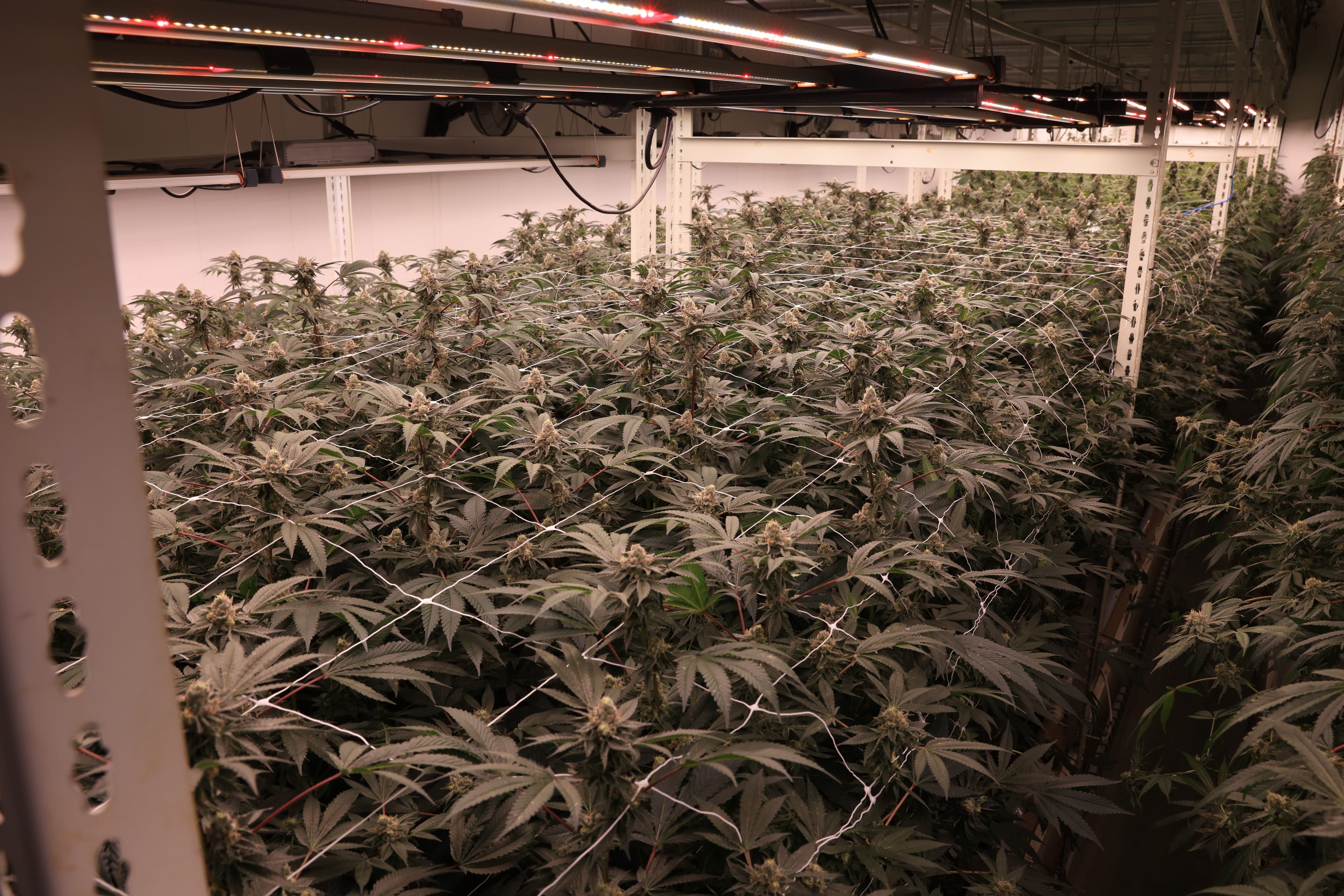 Top shelf, Oakland facility